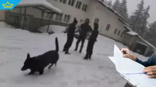 Аутопсиите на убитите от кемпера край Околчица са готови (видео)