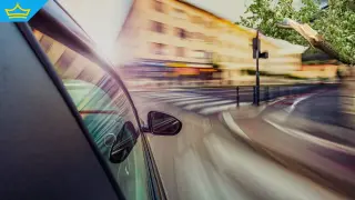 Кола отсече дърво край детска градина в Пловдив след изпреварване