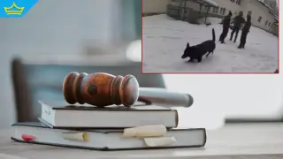 Прокуратурата обяви резултатите от част от експертизите по случая "Петрохан"