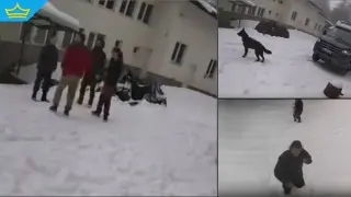 Вижте новите записи, които МВР и прокуратурата разпространиха по казуса "Петрохан" (видео)