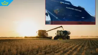 Внос на тонове аржентински слънчоглед притесни родните зърнопроизводители (видео)