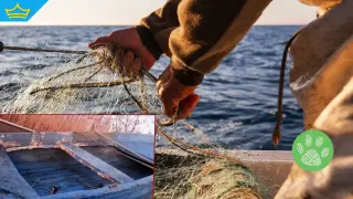 Заловиха бракониер при незаконен риболов в бурското езеро Вая (видео)