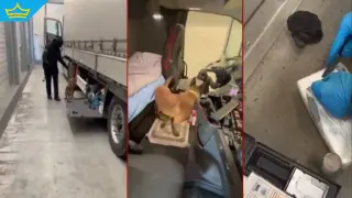 Откриха кокаин за близо 300 000 евро в камион на „Капитан Андреево“ (видео)