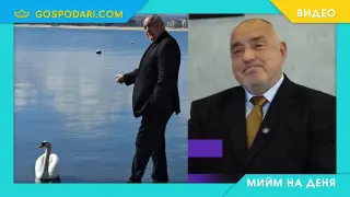 Мийм на деня: Когато заспя след тридневно парти (видео)