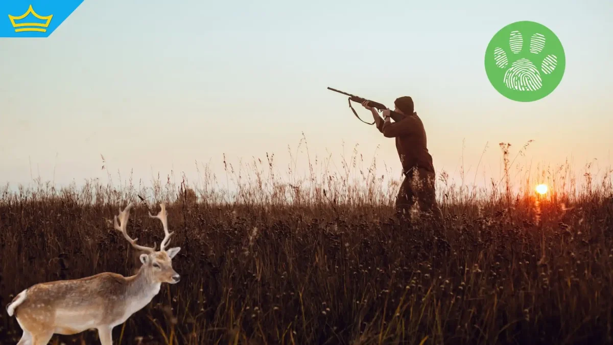 Бракониери опитаха да избягат, след като отстреляха благороден елен в Разградско (видео)