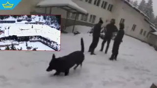 Семейството на убитото дете под Околчица: Спекулации и неверни твърдения петнят паметта на едно невинно дете