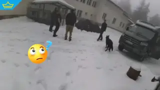 Следите, които никой не обяснява: нови съмнения около смъртта на Ивайло Калушев и 15-годишния Сашо