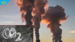 Административни процедури спират европроект за улавяне и съхранение на въглеродни емисии край Девня
