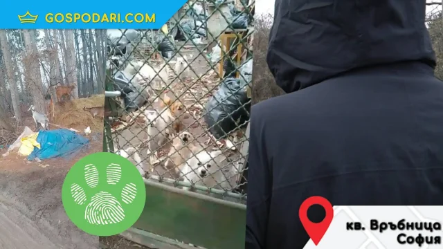 Незаконно животновъдно стопанство от години тормози жители на столичния район "Връбница" (РЕПОРТАЖ)