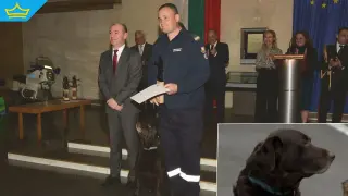 „Пожарникар на годината“ стана четириногият спасител Гари (видео)