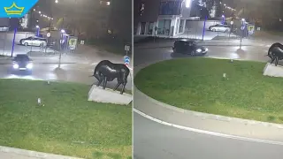 Мъж без книжка дрифтира на кръгово в Ямбол (видео)