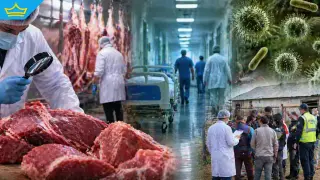 След заразената саздърма: няма заразени с антракс хора засега, но рискът остава