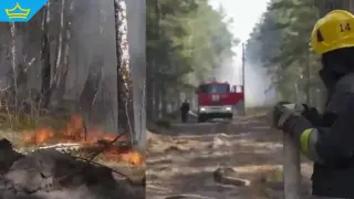 Дрон предизвика горски пожар в забранената зона край Чернобил