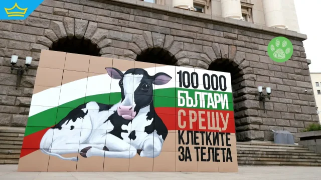 Активисти влязоха в клетки на протест пред парламента