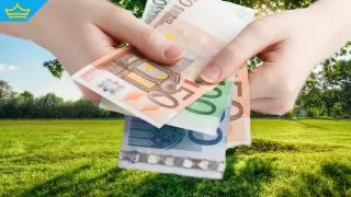 Всеки служител ще може да проверява средните заплати във фирмата