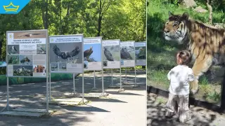 Деца ще могат да посетят столичния зоопарк безплатно на 1 юни