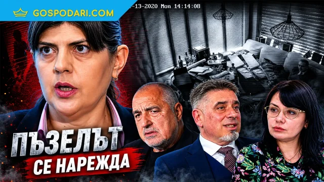 От диванчето до европрокуратурата (видео)
