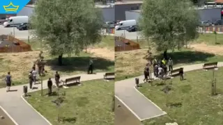 Роми нападнаха общински служители след забележка за боклуци в Студентски град (видео)