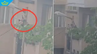 Столичен „каубой“ извади пистолет и пушка, за да стреля по гълъби от терасата си (видео)