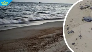 Продължават сигналите за изплувал мазут на плажове по Южното Черноморие (видео)