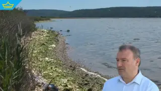 Битово-фекално замърсяване стои зад измирането на риба във Варненското езеро (видео)