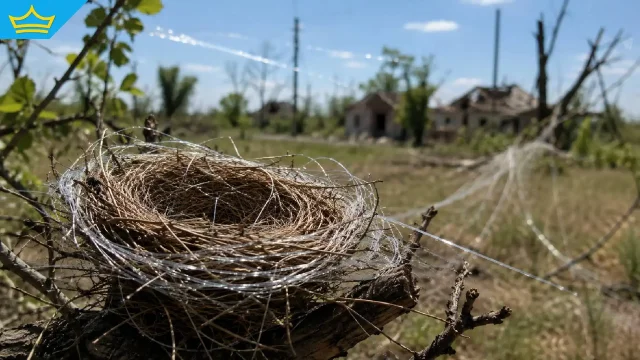 Птици в Украйна вият гнезда от оптични влакна за дронове