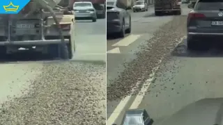 Камион разсипа бетон и чакъл по оживен столичен булевард (видео)