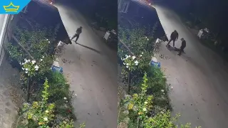 Вижте кадри от момента, в който полицията задържа пастрока на 11-годишната Наталия (видео)