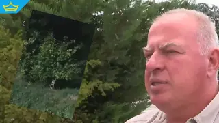 Лисици все по-често обикалят кварталите на София (видео)