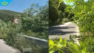 „Пътища джунгли“ във Врачанско: Обрасли храсти застрашават шофьорите по Искърското дефиле (видео)