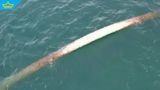 Проверяват изплувала тръба край Созопол, взети са проби от водата (видео)