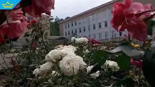 Затвориха детски лагер заради опасни условия, установиха 11 нарушения по морето (видео)