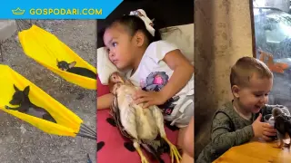 Деца и животни – очаквано добра комбинация (видео)
