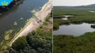 Ниското ниво на река Дунав застрашава резерват „Сребърна“ (видео)