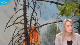 Нови камери в парк „Рила“ ще следят за пожари и бракониери (видео)