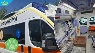 Първата зоолинейка у нас тръгва на помощ на бедстващи животни (видео)