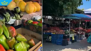 Българските производители отново изхвърлят стока заради ниските изкупни цени (видео)