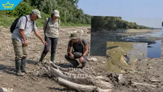 След находката на мамут: Русенският музей търси доброволци за обход на Дунав