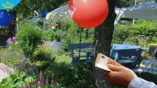 Глоби до 500 евро грозят хора, които празнуват рожден ден в парковете