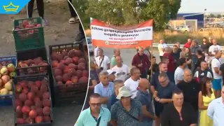 Ниските изкупни цени изкараха земеделци на протест в Сливенско (видео)
