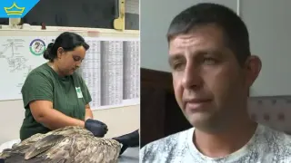 Обвиненият за отровените лешояди: „Не съм правил пълни самопризнания, всичко беше под натиск“ (видео)