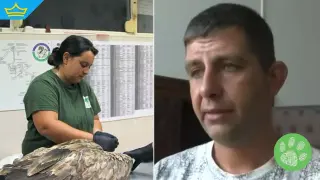 Обвиненият за отровените лешояди: „Не съм правил пълни самопризнания, всичко беше под натиск“ (видео)