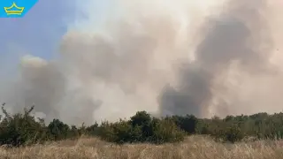 13-годишно момче е запалило големия пожар край Корен