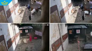 Над 600 жители на Габрово се обявиха срещу тормоза и вандализма в квартал „Бичкиня“ (видео)
