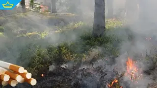 Момче на 13 години причинило два пожара в района на Тополовград