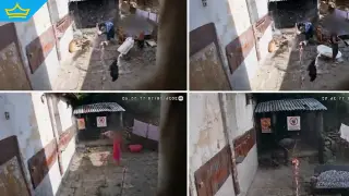 Тормозът в „Бичкиня“ продължава: Жители разкзазват за нови заплахи и вандализъм (видео)