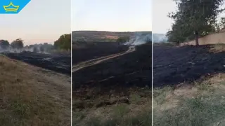 Пожари всяко лято: Системно безхаберие и нерегламентирано сметище тормозят ловешкото село Александрово (видео)
