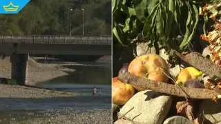 Спешно почистиха коритото на река Струма край Бобошево (видео)