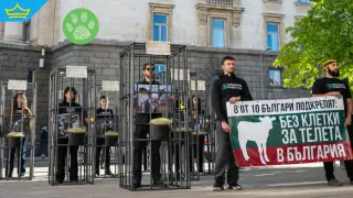 В знак на протест хора две седмици ще живеят в клетка до Народното събрание
