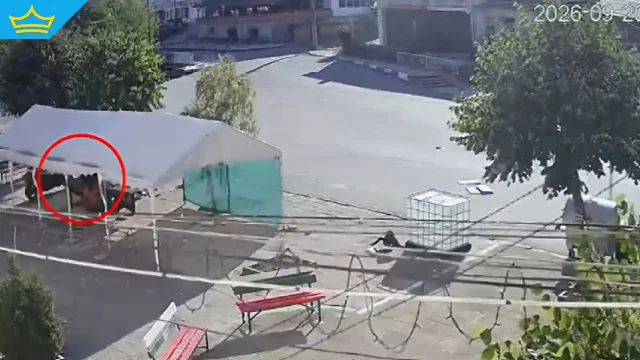 Вандализъм и дрифтове в Зидарово: Кметът публикува кадри и поиска реакция от институциите (видео)